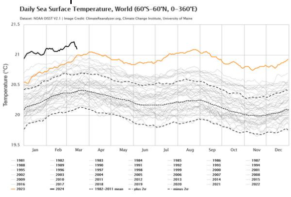​

Evolución de la temperatura media global de la superficie oceánica entre los 60º norte y los 60º norte hasta el 14 de marzo. Fuente: NOAA